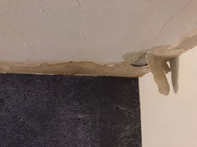 Professional water damage restoration services in Tampa - Tampa Water Damage Restoration